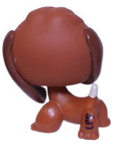 #1738 Beagle